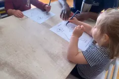 Anatomy-parts-of-face